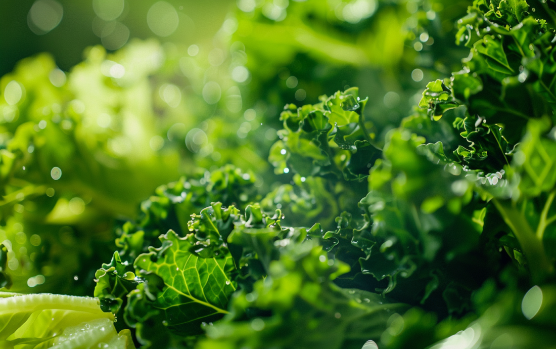 Healthy Green Juice Healthy Green Juice
